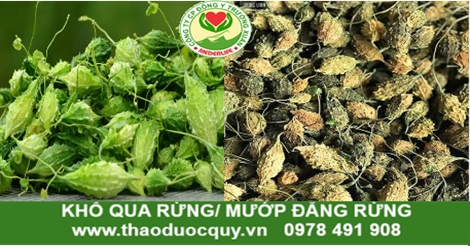 Quả mướp đắng rừng/ Khổ qua rừng sấy khô Quả mướp đắng rừng/ Khổ qua rừng sấy khô