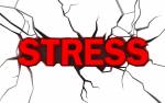 Vì sao bạn bị Stress?