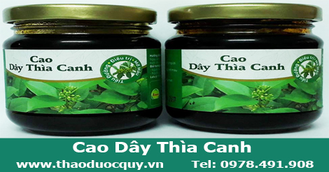 cao-day-thia-canh